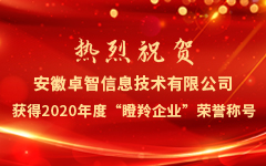 熱烈祝賀安徽卓智信息技術有限公司獲得2020年度“瞪羚企業”榮譽稱號